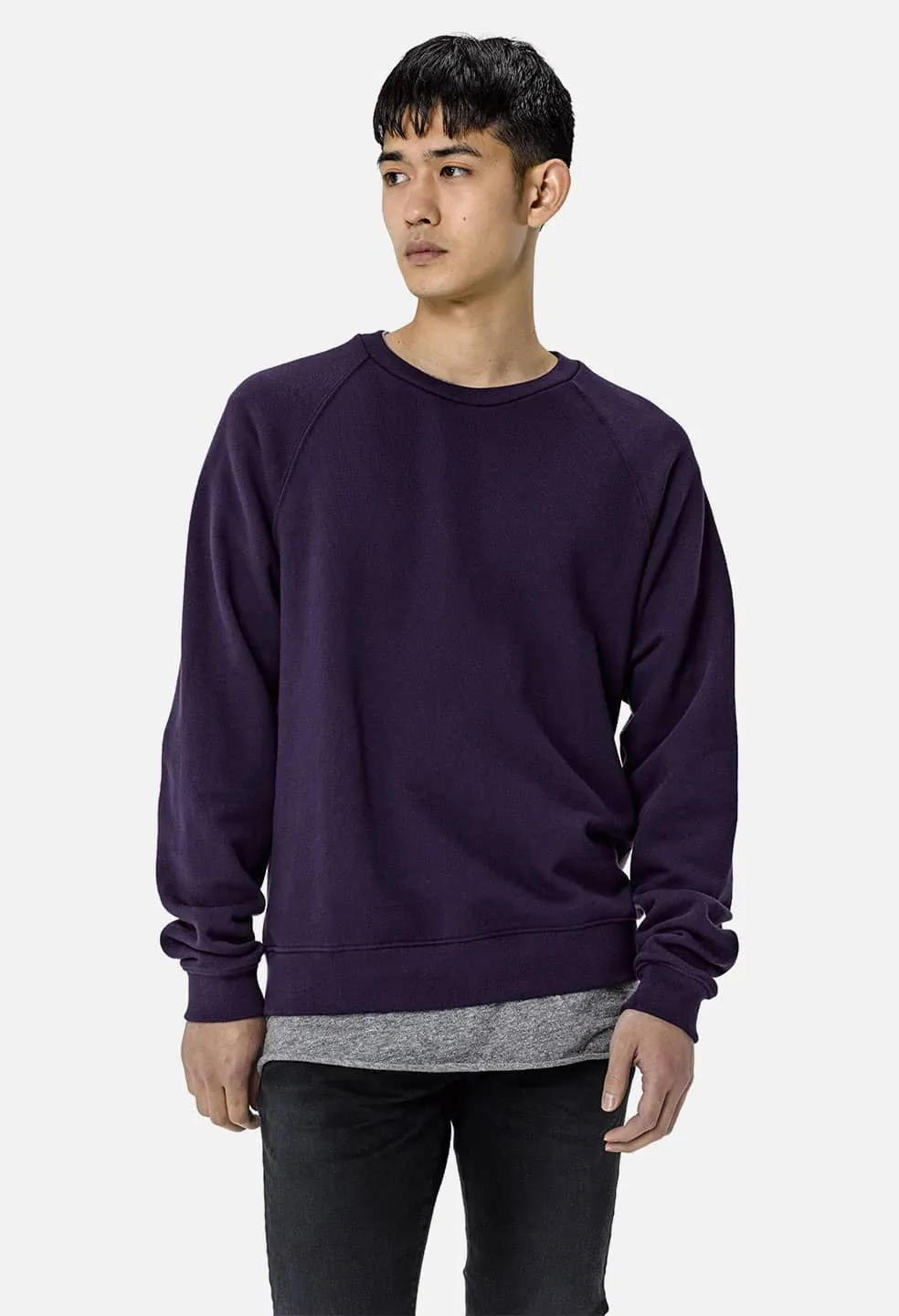 Raglan Crew / Purple